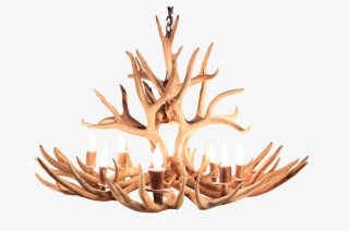 Deer Antlers Png #8584011