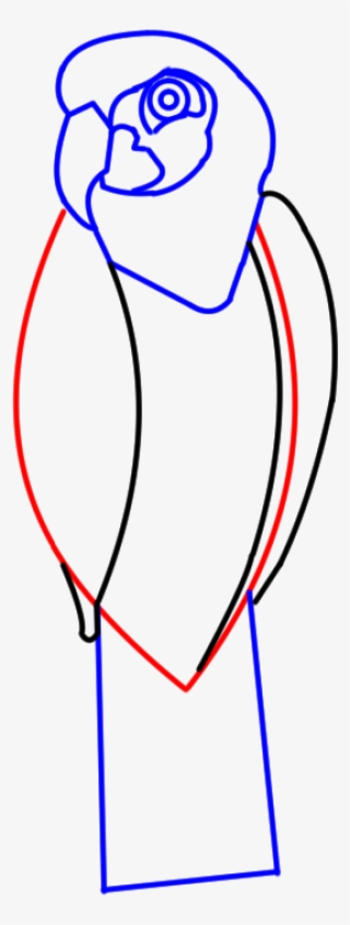 Step5 Parrot Cartoon Body Lines #8585161