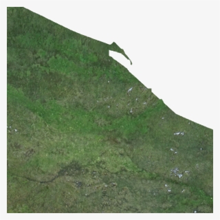 Kml Href, E1030 - Grass #8587300