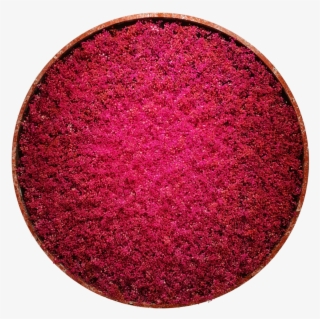 Baby's Breath Flower Human Breathing Pattern Data New - Circle #8587507