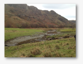 Members Site Visits Archive - Grass #8587818