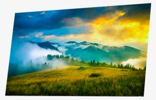 Video - Computer Monitor #8588010