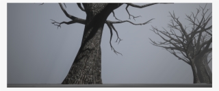 Old Tree Pack - Oak #8588193