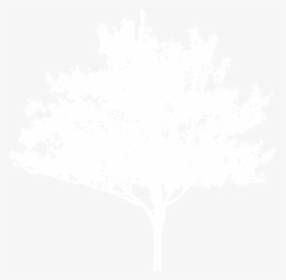 Illustration #8588733 Illustration #8588733