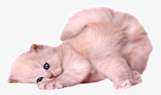 Beautiful And Cute Cartoon Cat Vector Image - White Kitten Transparent Background #8589137