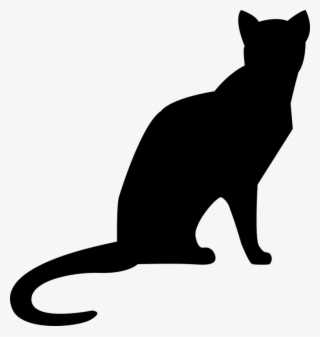 Cat Sitting Mieze - 고양이 그림자 #8589393 Cat Sitting Mieze - 고양이 그림자 #8589393