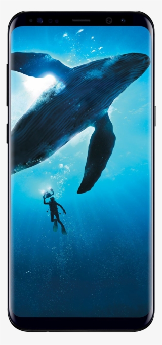 Galaxy S8 Png - Samsung Galaxy S8 Price In India #8589837