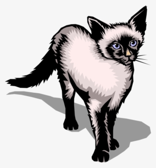 Vector Illustration Of Family Pet Small Domesticated - Siamese Cat #8589859