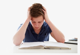 Executive Function Is A Challenge - Imagenes De Un Chico Estudiando #8590677