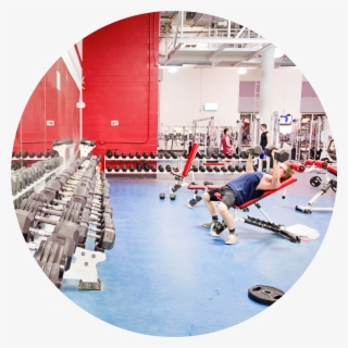 Student Lifting Weights In Recreation Centre - Gym #8590807