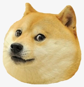 Dog Head Png - Shiba Dog #8591394