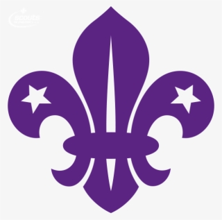 Cubs Scouts #8591438