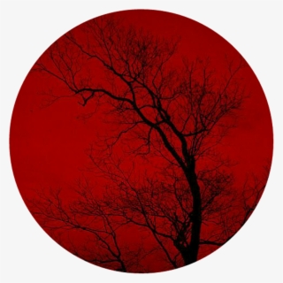 Red Sticker - Circle #8591910 Red Sticker - Circle #8591910