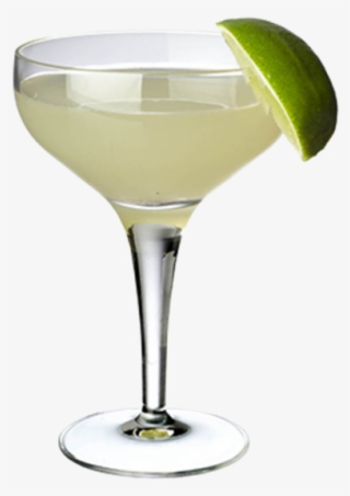 My Account Registration - Wine Glass #8592167