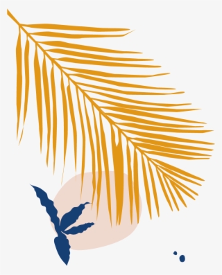 Bloomscape Majesty Palm - Illustration #8592916