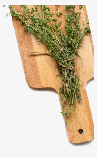 Herbs On The Counter Herbs In A Pot - Parsley #8593357