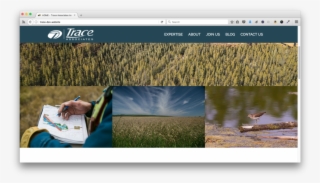 Aryly78a8b-900x900 - Grass #8593829