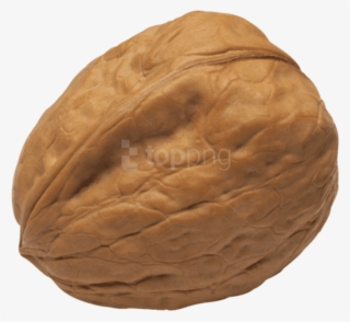Walnut Png Image - Transparent Walnut Png #8594446