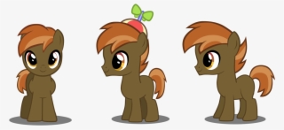 Flash Equestria Photography, Button Mash, Cute, Earth - Cartoon #8594623