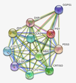 Ferris Wheel #8594708 Ferris Wheel #8594708