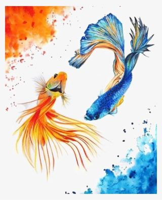 Koi Carassius Fish Yin Watercolor Yang Auratus Clipart - Watercolor Yin Yang Fish #8595059