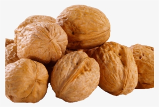Walnut Clipart Transparent - Walnut Whole #8595066