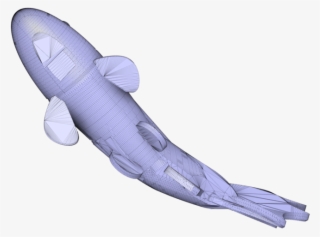 Koi Fish V2 - Tiger Shark #8595181