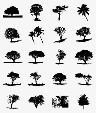 Trees Silhouette - Free Tree Silhouette Ai #8596256 Trees Silhouette - Free Tree Silhouette Ai #8596256