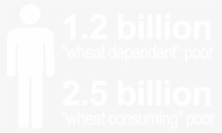 Wheat Photo - Graphic Design #8596494