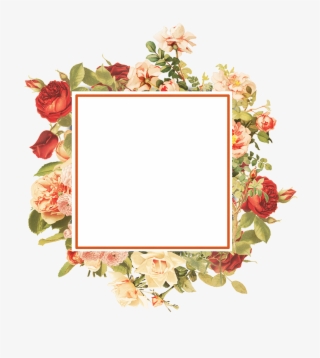 Download - Garden Roses #8596658