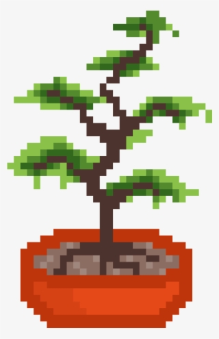 Bonsai Tree - Sageretia Theezans #8596829