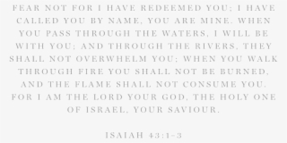 Brave Scripture - Document #8596883