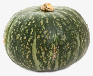 T Bones Fresh - Courge Verte #8599082