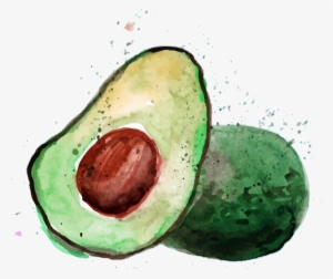 Avocado #860161