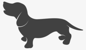 Dachshund - Perro Salchicha Vector #860643