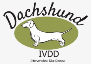 Www - Dachshund-ivdd - Uk - Portable Network Graphics #861171