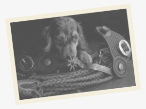 Full Circle Ranch Bed & Breakfast Inn #861213