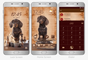 Dachshund Puppies - Iphone #861279