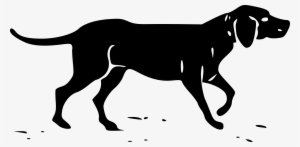 Basset Hound Dachshund Plott Hound Afghan Hound Southern - Hound Clipart #861327