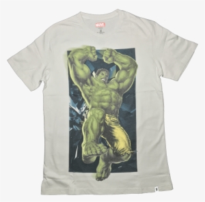 Incredible Hulk Light Grey T Shirt Bio World Www #861437