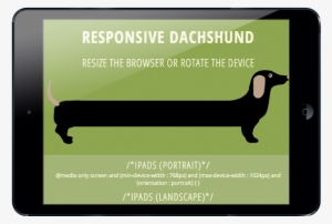 Longdog #861571