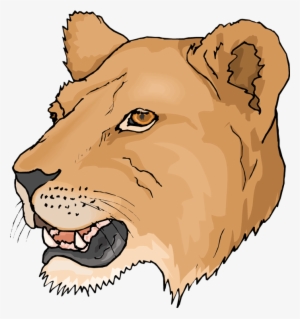 Pictures V - 2 - 0 Png - - Female Lion Head Clipart #861913