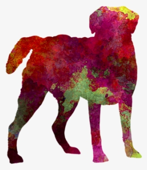 Drawing Laboratory Chesapeake Bay Retriever #861980