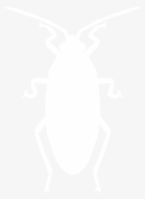 All Pests - Pest Control #862288