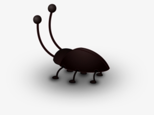 Cockroach Insect Bug Animal Antenna Black - Bug Antennae Clipart #862487