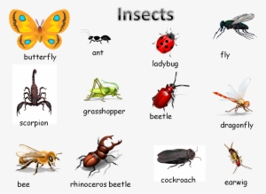 Making Lists For Writer's Workshop #862814