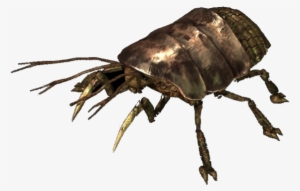 Giant Cockroach - Fallout Radroach #862954