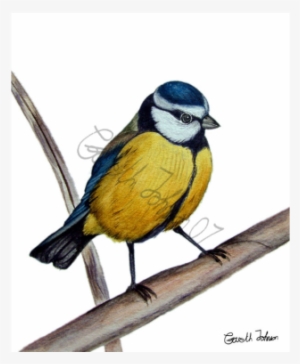 Watercolor Painting #863339