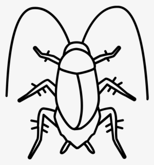 Cockroach Icon - Icon #863384