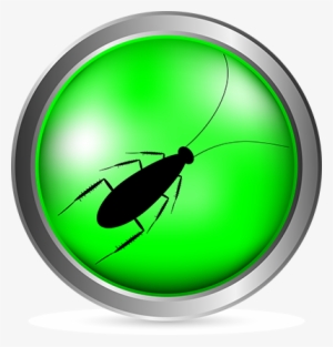 Here's A Story To Top Any “guest Sees A Cockroach In - Cockroach #863566